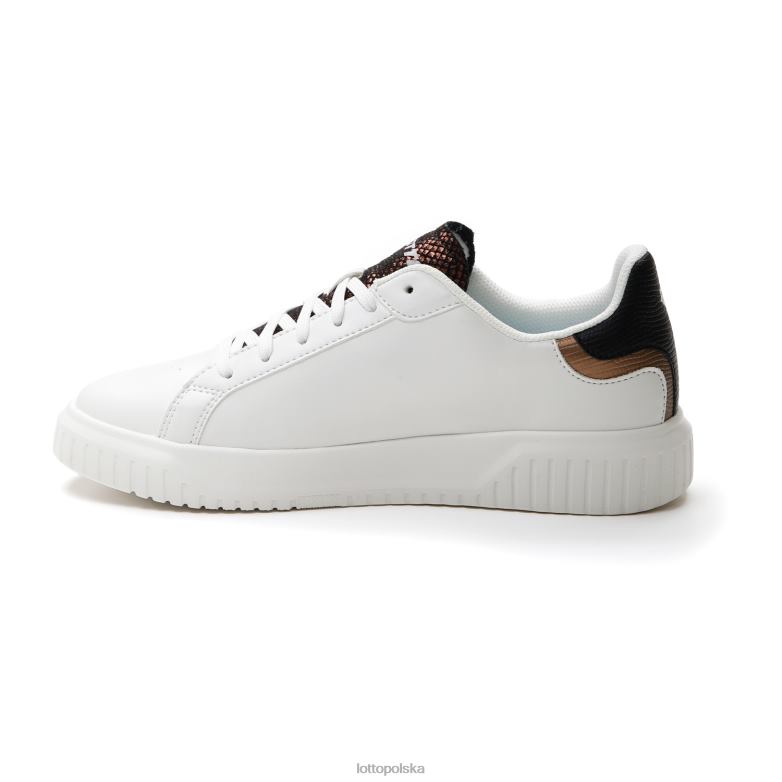 Lotto Polska - Lotto kobieta biały/cały czarny/ciemny brąz wenus amf iii py w buty R4DBZ746