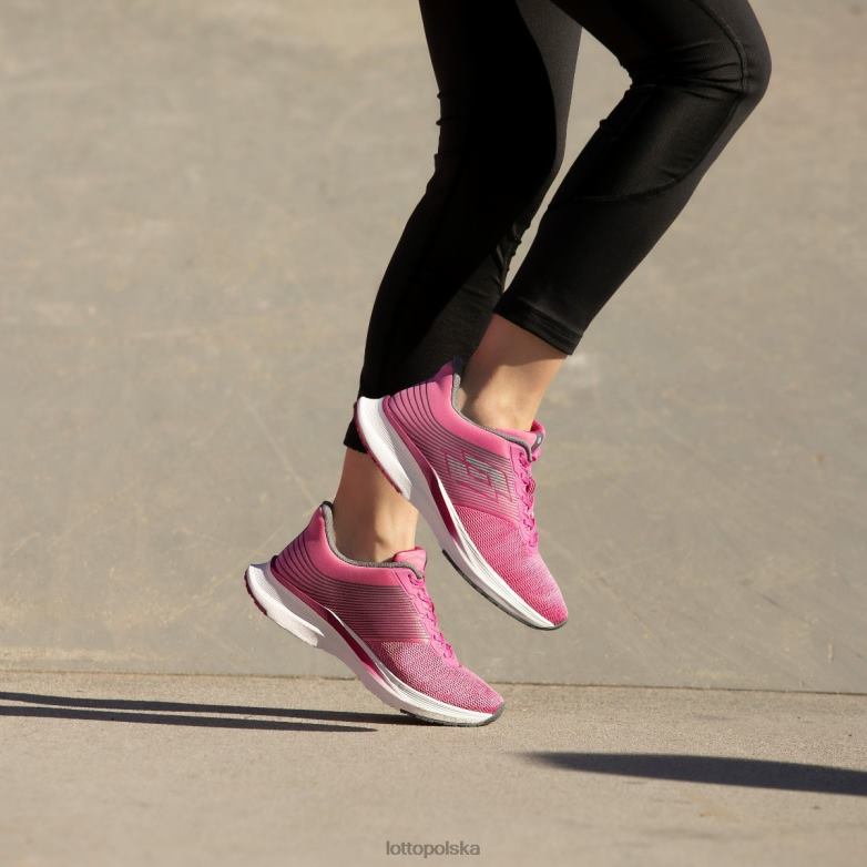 Lotto Polska Buty - Lotto kobieta dzika orchidea/fiolet 228/zimny szary 10c speedevo 700 w buty R4DBZ791