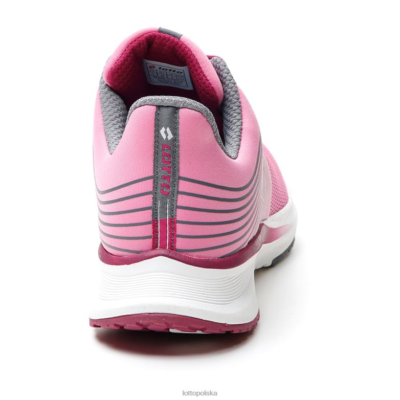 Lotto Polska Buty - Lotto kobieta dzika orchidea/fiolet 228/zimny szary 10c speedevo 700 w buty R4DBZ791
