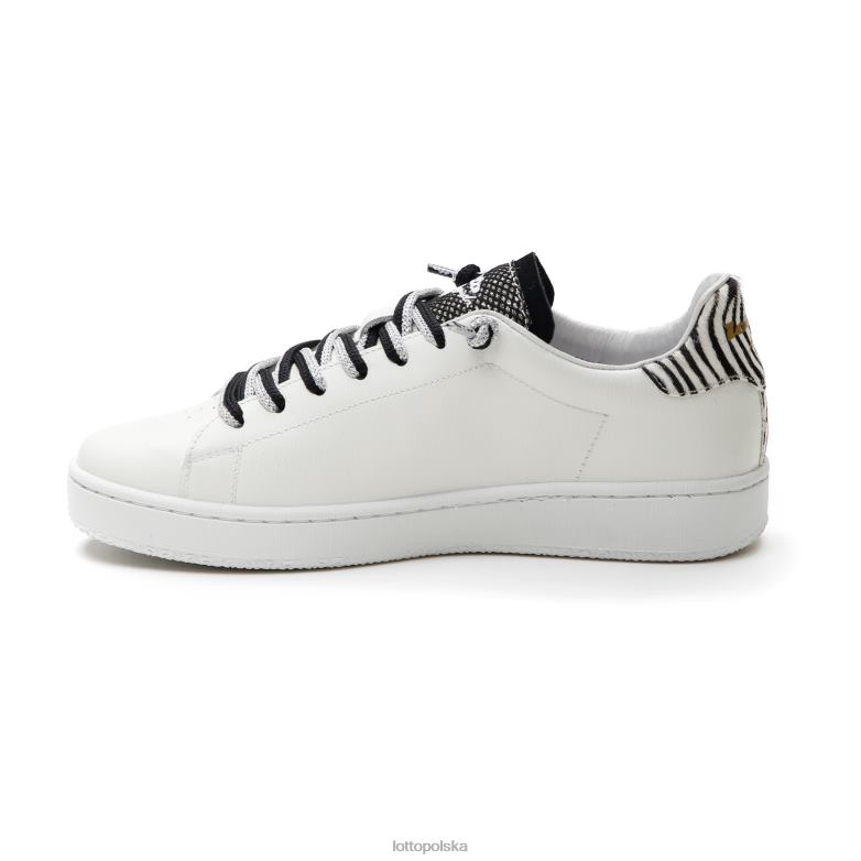 Lotto Polska Buty - Lotto kobieta lekkoatletyka zebra z autografem W buty R4DBZ693